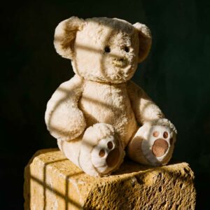 Le cookie d'Alphonse 11 coucou cookies Magnifique Le cookie d Alphonse6